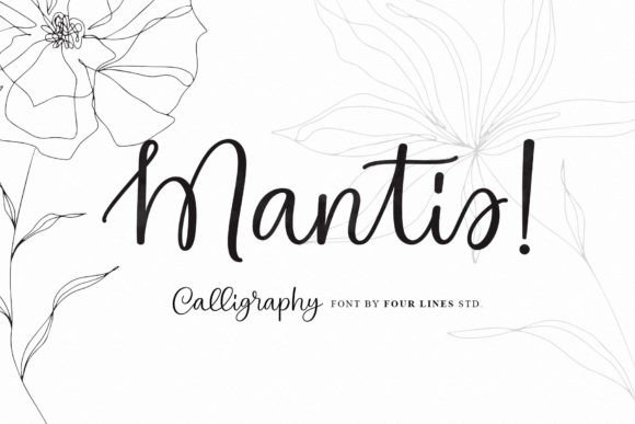 Mantis: The Modern Script Font for Scroll-Stopping Campaigns